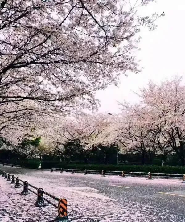 疑问一:大学的老师、教授在大学里一教就是几十年。他们对自己所讲的内容早已滚瓜烂