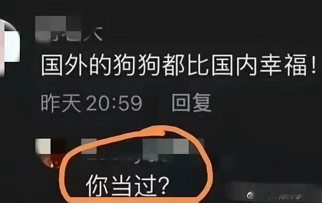 你当过？这么聊天，他估计没法往下接了……​​​