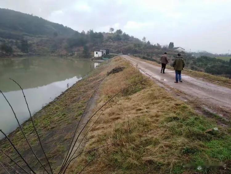 辽宁辽阳，一大妈为图方便，无视警告，将自家的牛粪倒进别人家的鱼塘，结果不慎失足落
