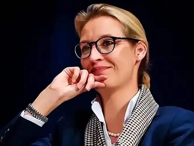 德国选择党的魏德尔放话了：一旦选择党拿到话语权，100万乌克兰人会被送回去，重点