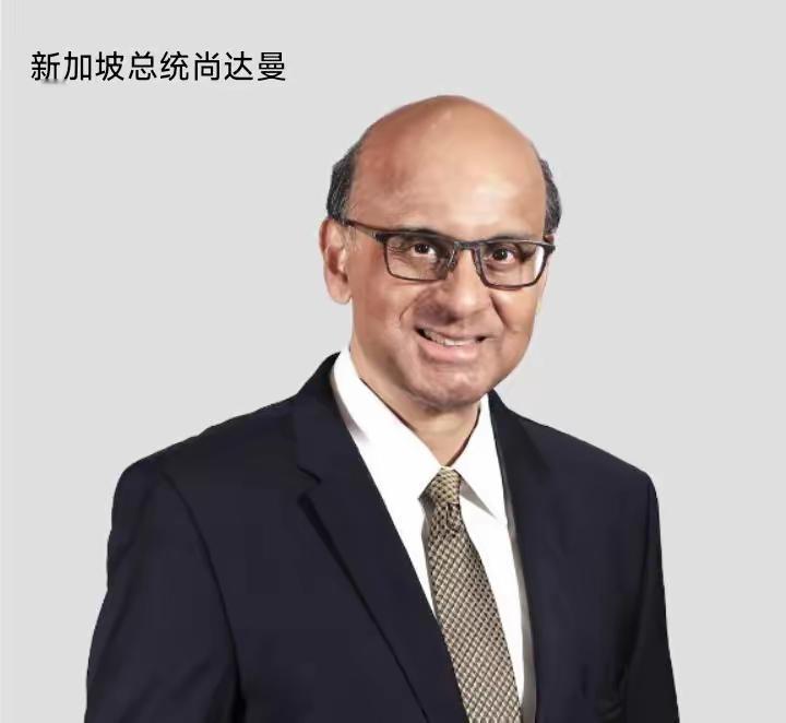 有传言称，新加坡为平衡族群比例，引入印度移民以降低华人占有率。这种说法其实忽略