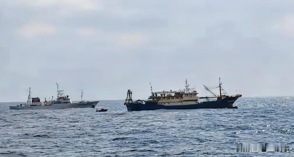 该来的总是要来的。2月13日，也就是今天下午的外交部新闻发布会上，彭博社就日本