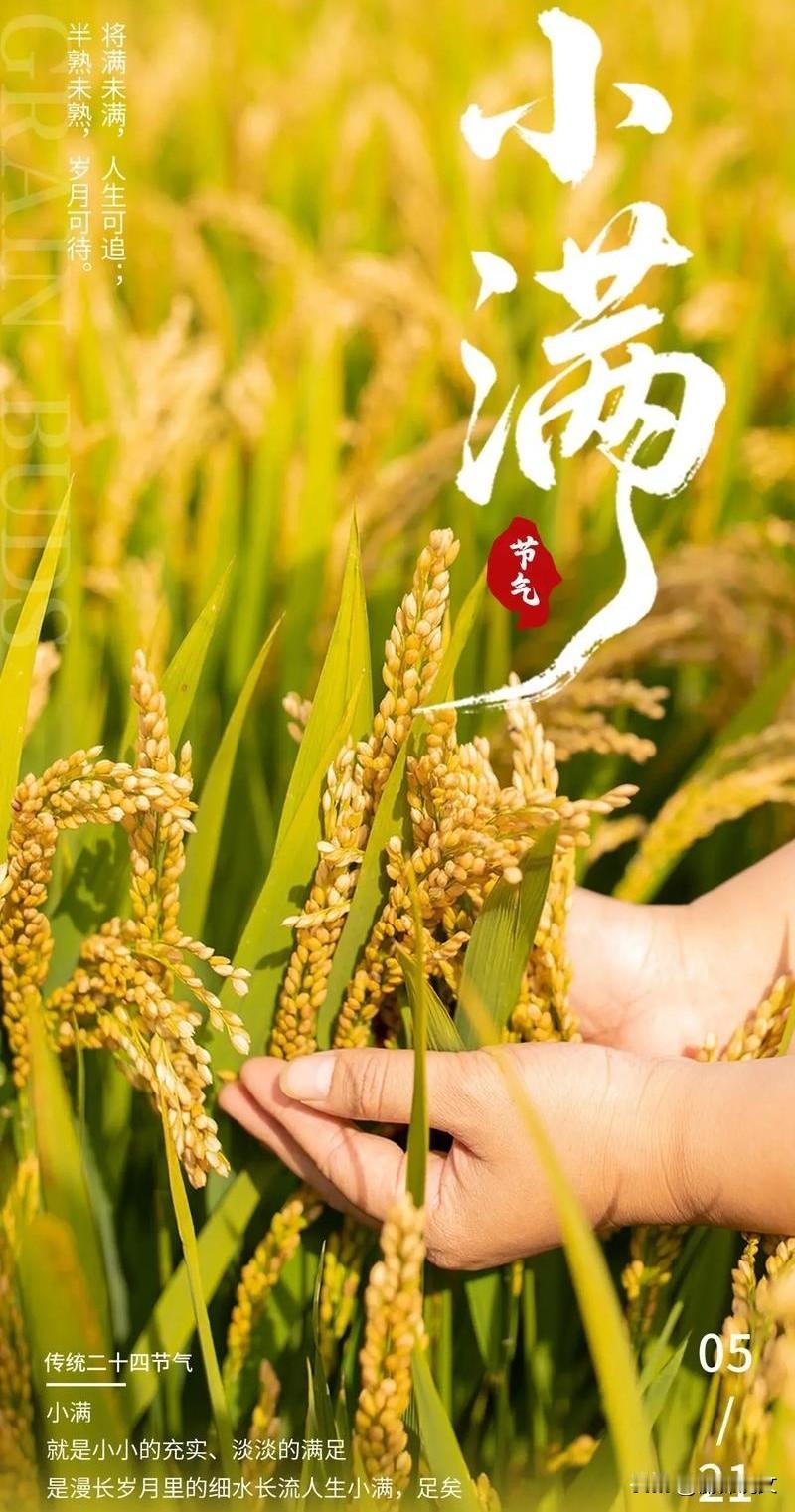 小满到！老辈传下来的吃法和农事，种地人一定要懂别以为小满只是个普通节