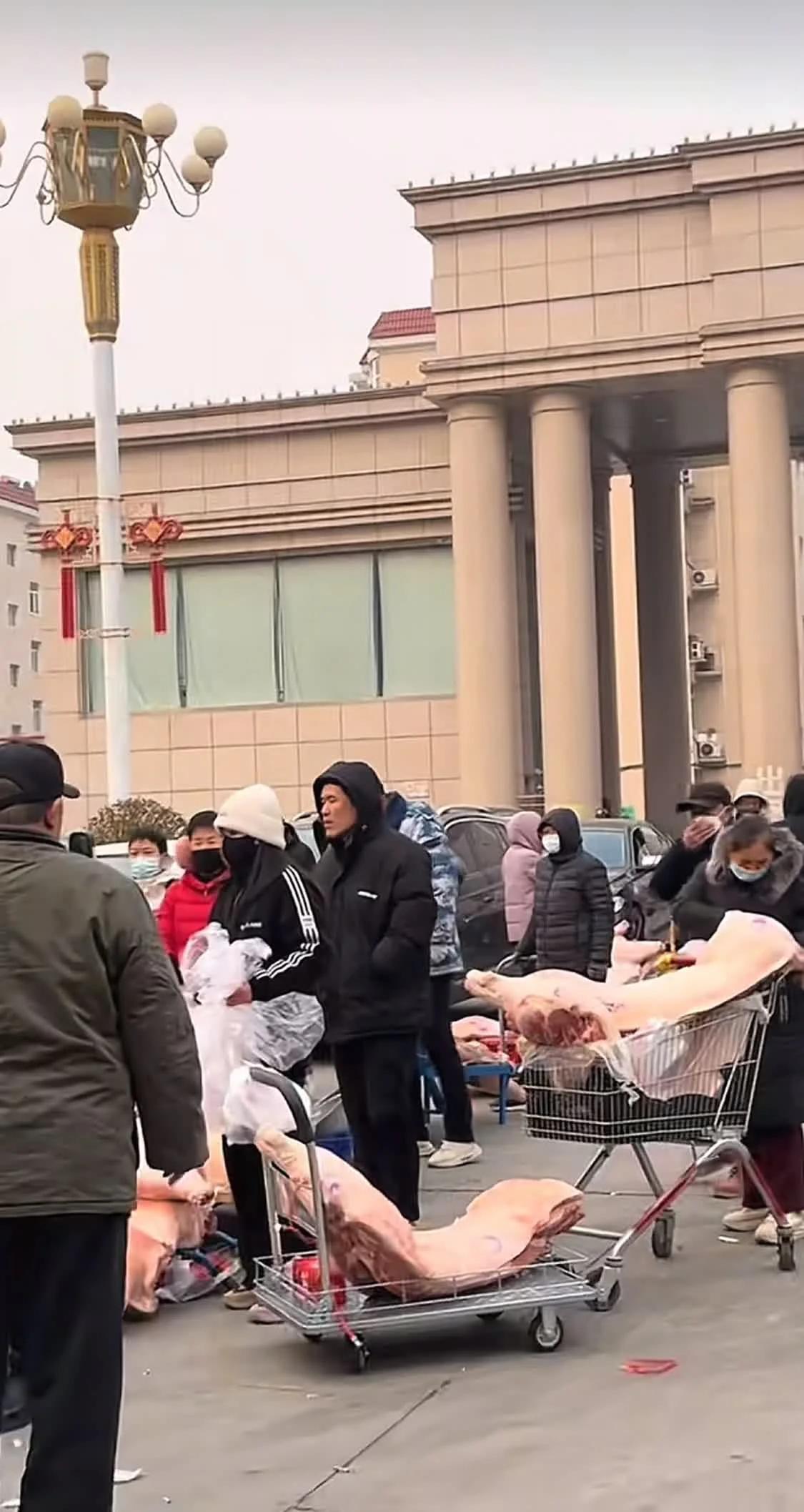 豪气冲天，发钱发猪！1月26日河北石家庄裕东街道小马社区，居民排队领过年福利，