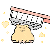 不好用的表情包我不发