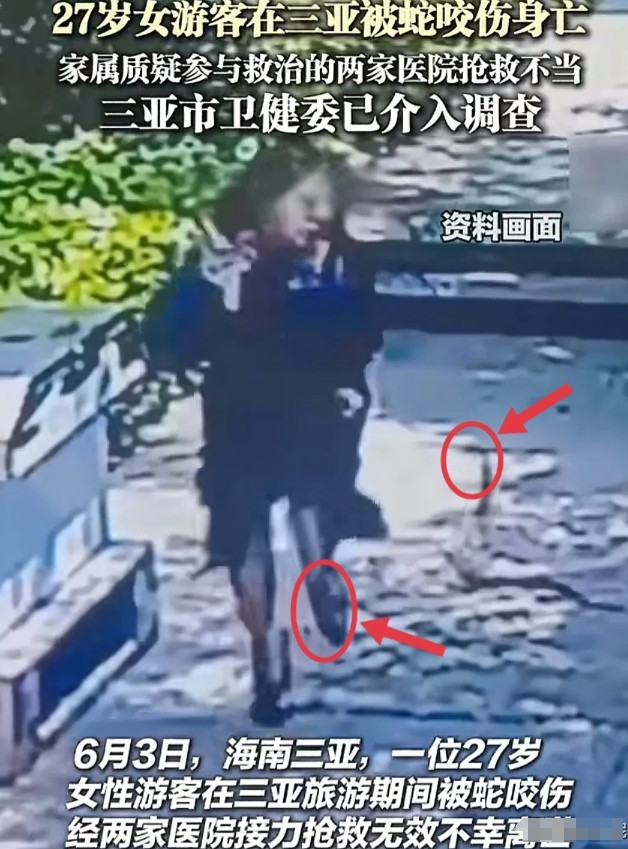 我给妈妈看了女子在三亚被蛇咬伤的新闻。妈妈皱着眉，迟疑地问：“这女孩子是城里人吧