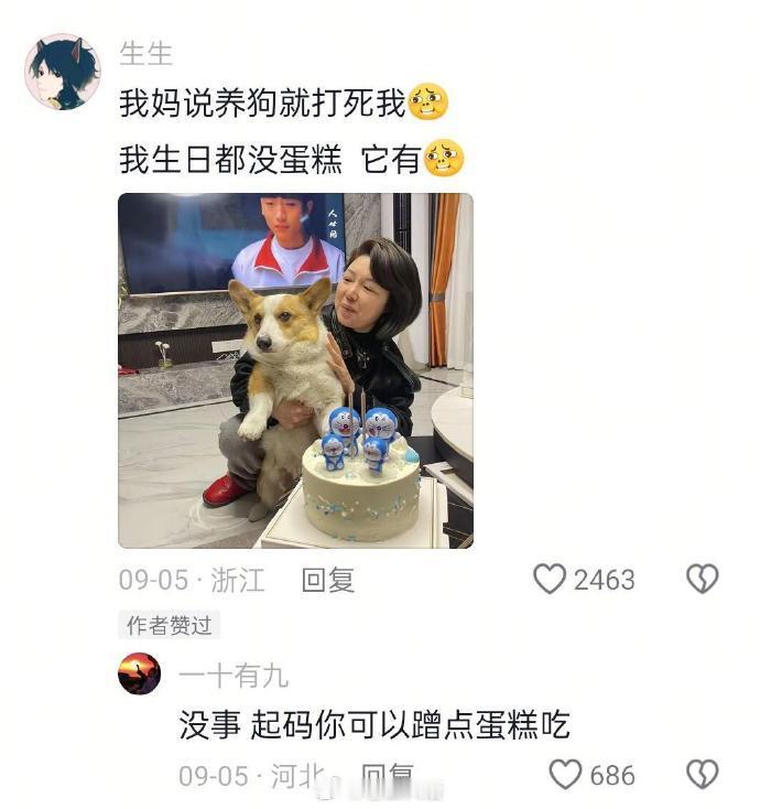 家长养宠物真的当小孩养​​​