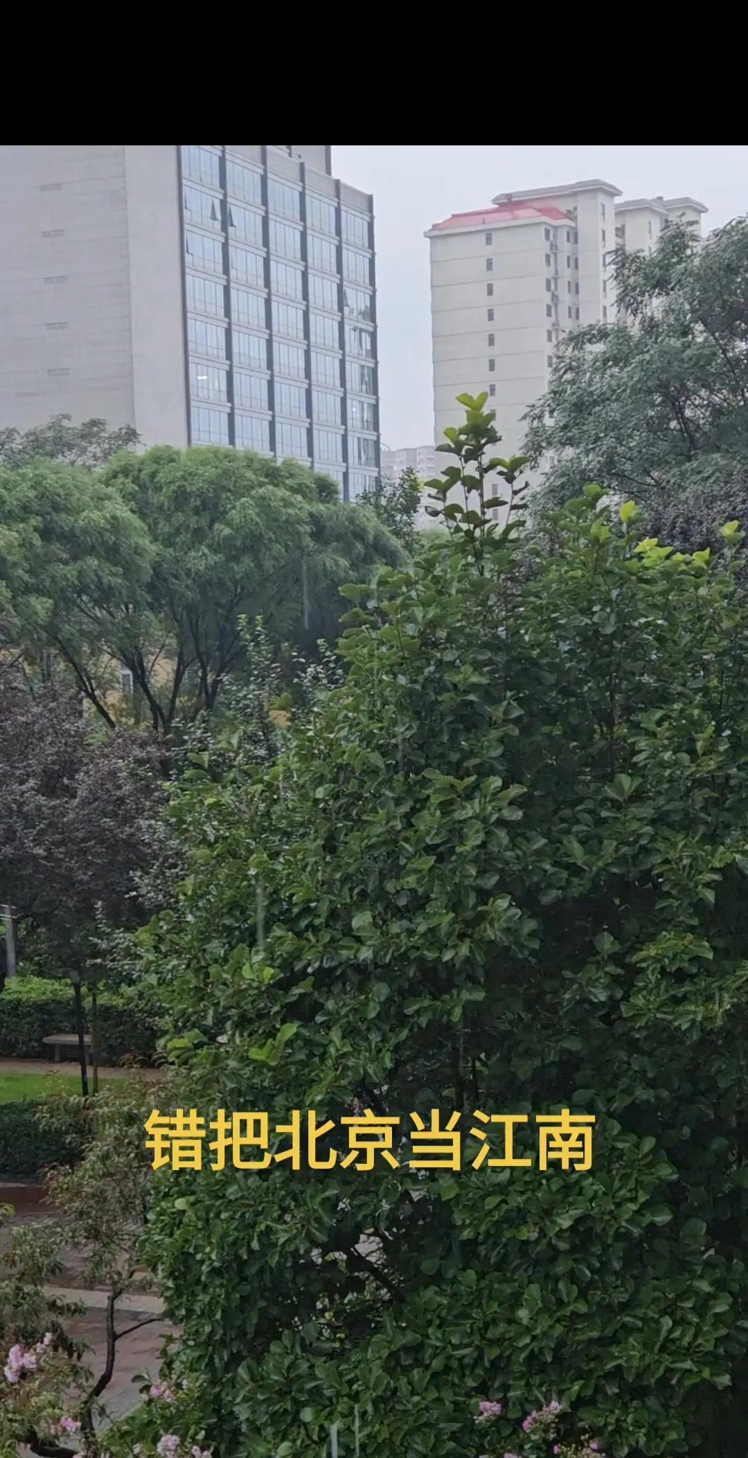 今天也就是8月27号的清晨，北京又下起了大到暴雨，据说还要下一整天。北京从昨天就