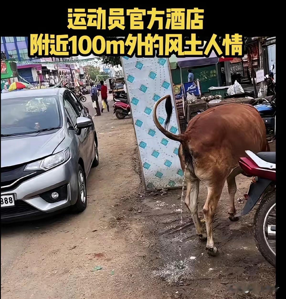 印度举办了一场乒乓球亚锦赛就想成为世界乒乓球强国未免高兴的太早了!不管印度的