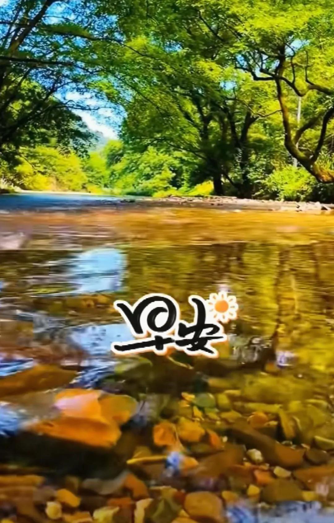 問候無聲，句句情真；送去祝福，願您健康；天地有愛，人間有情；珍惜緣分，歲月