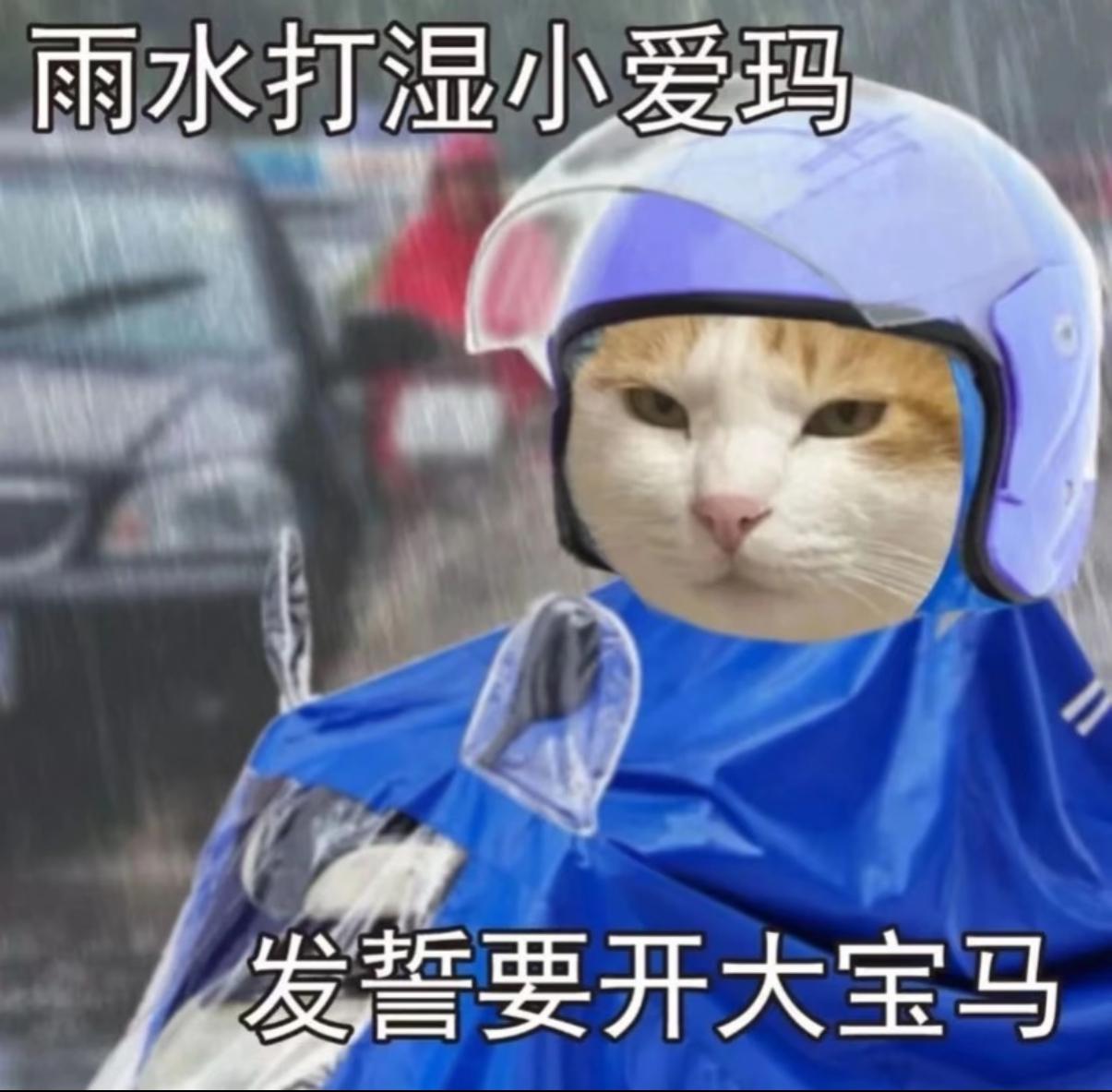 山东省国庆天气及活动一览表10.1下雨在家打麻将10.2下雨在家打麻将10
