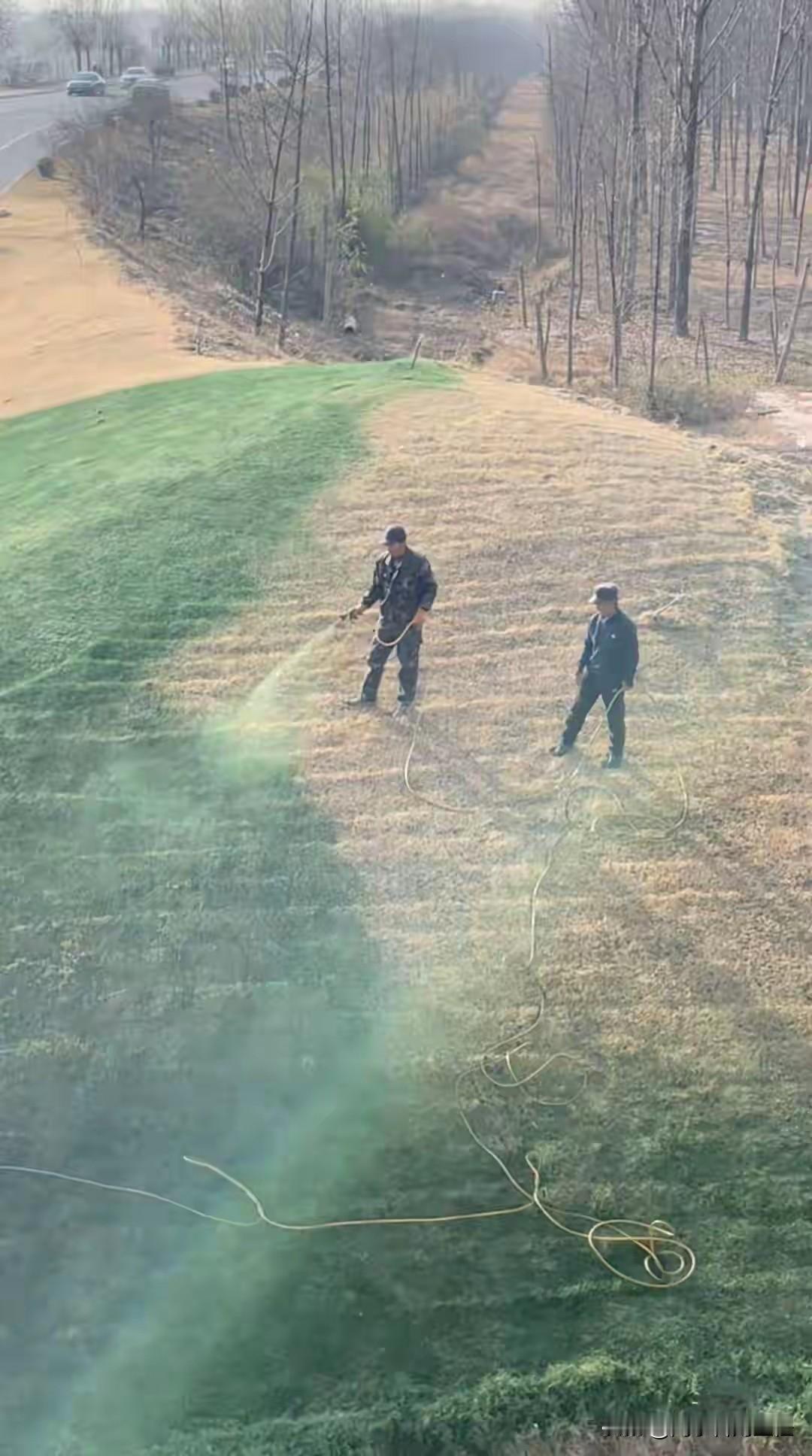 大咸阳今天又上了热门啊？两个工人在给枯黄的山头“染色”，喷完之后一片绿莹莹的