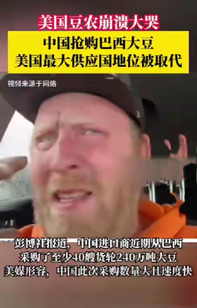 美国豆农在网上破口大骂：“拜登特朗普都蠢！”自家40万美金打水漂，大豆只能烂地