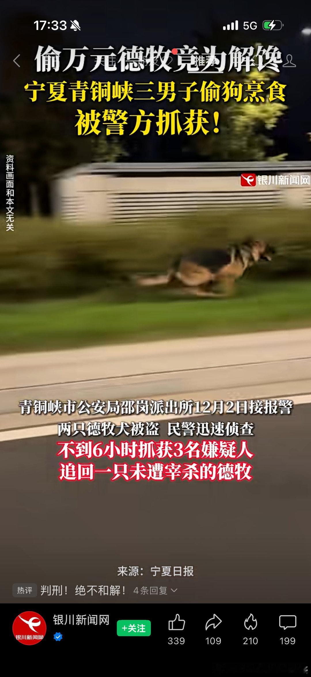 宁夏俩傻缺为了吃狗肉偷了2条德牧，杀了一条。另一条还好没来得及杀，被追回了。涉案