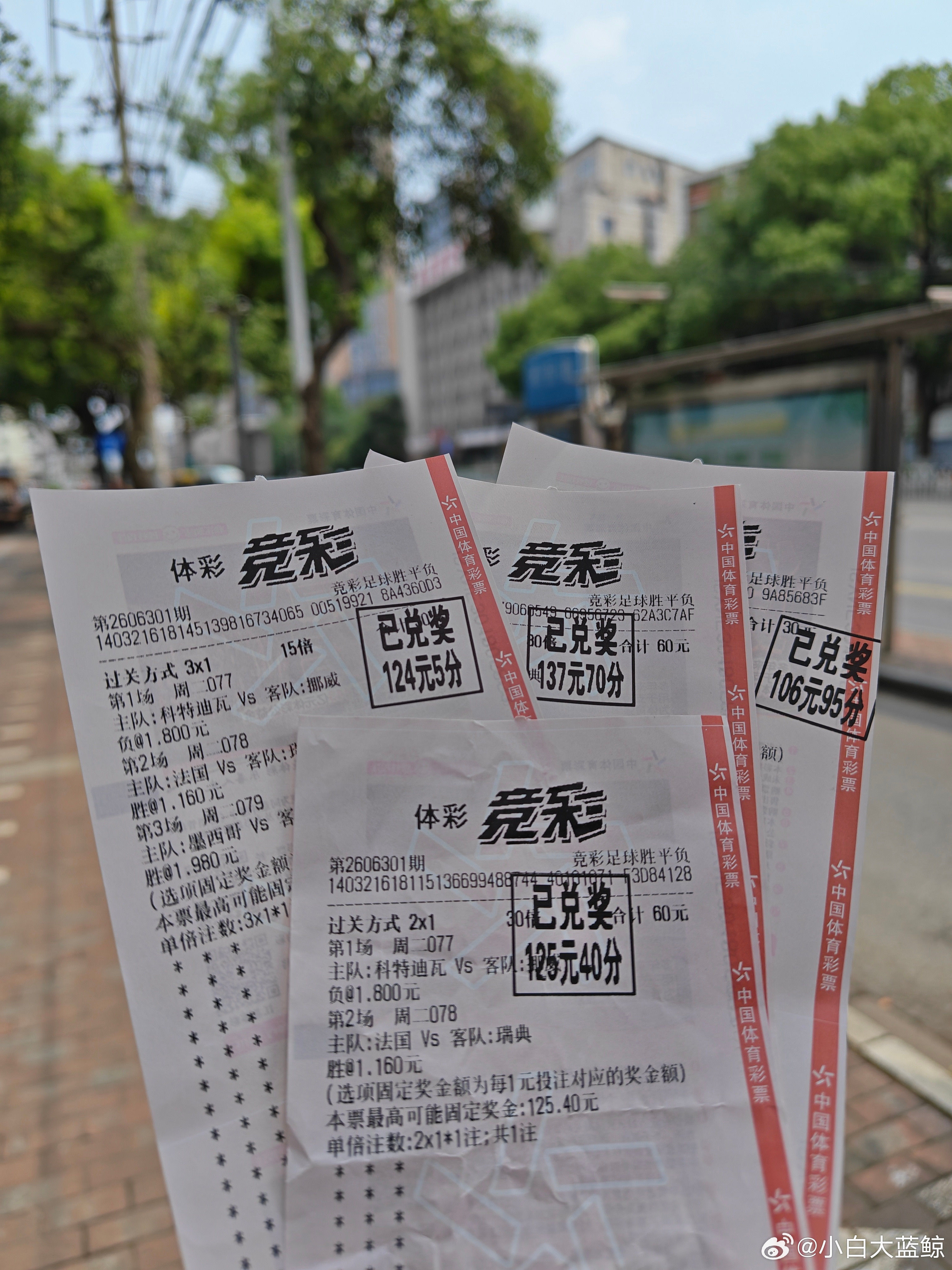 30赢125，一共赢500块，相信我，法国队是这届的世界杯冠军，买赢就对了，中间