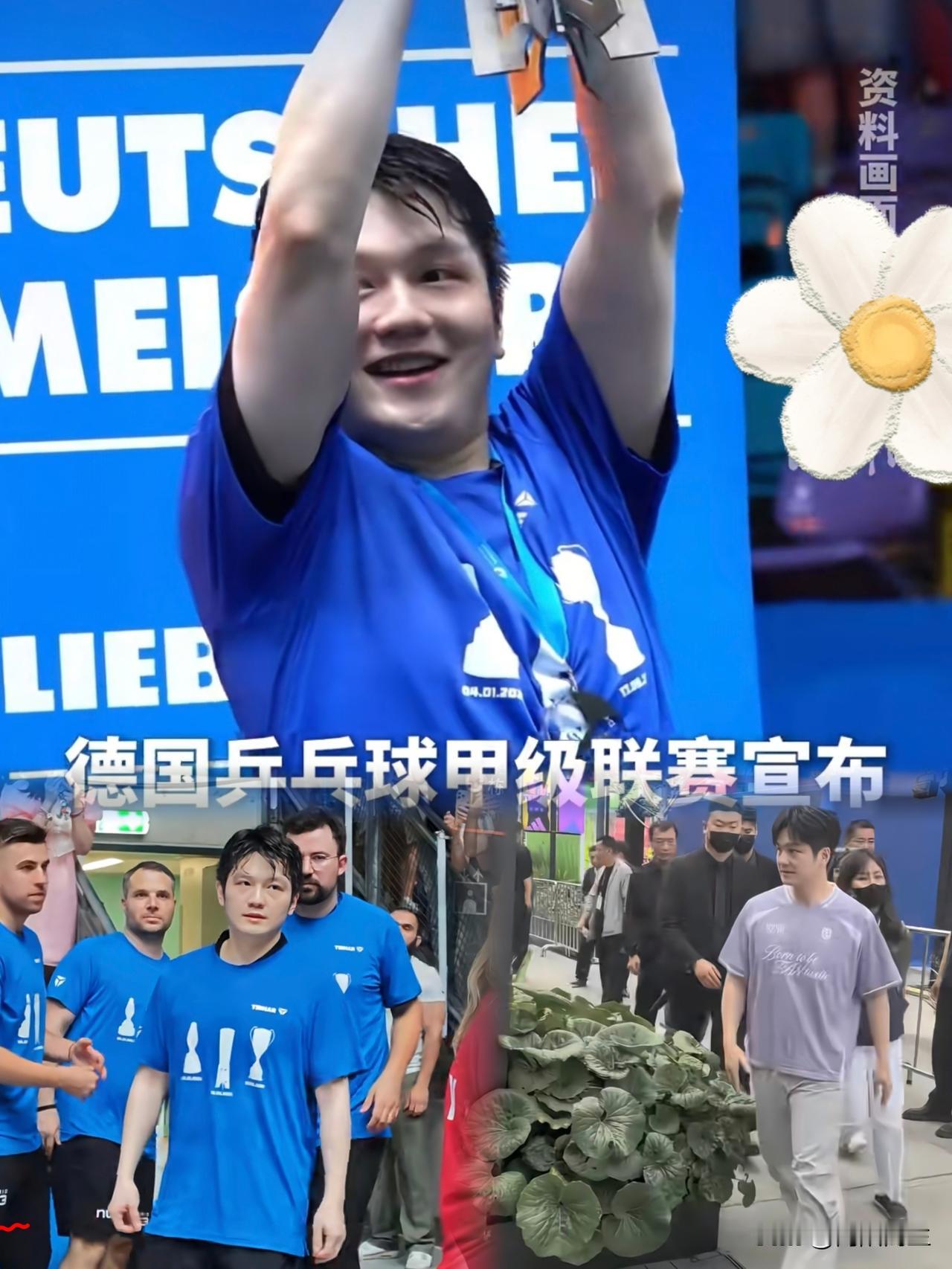 看《香港文汇报》近日的消息，真是让人振奋！樊振东这回在欧洲赛场，简直是降维