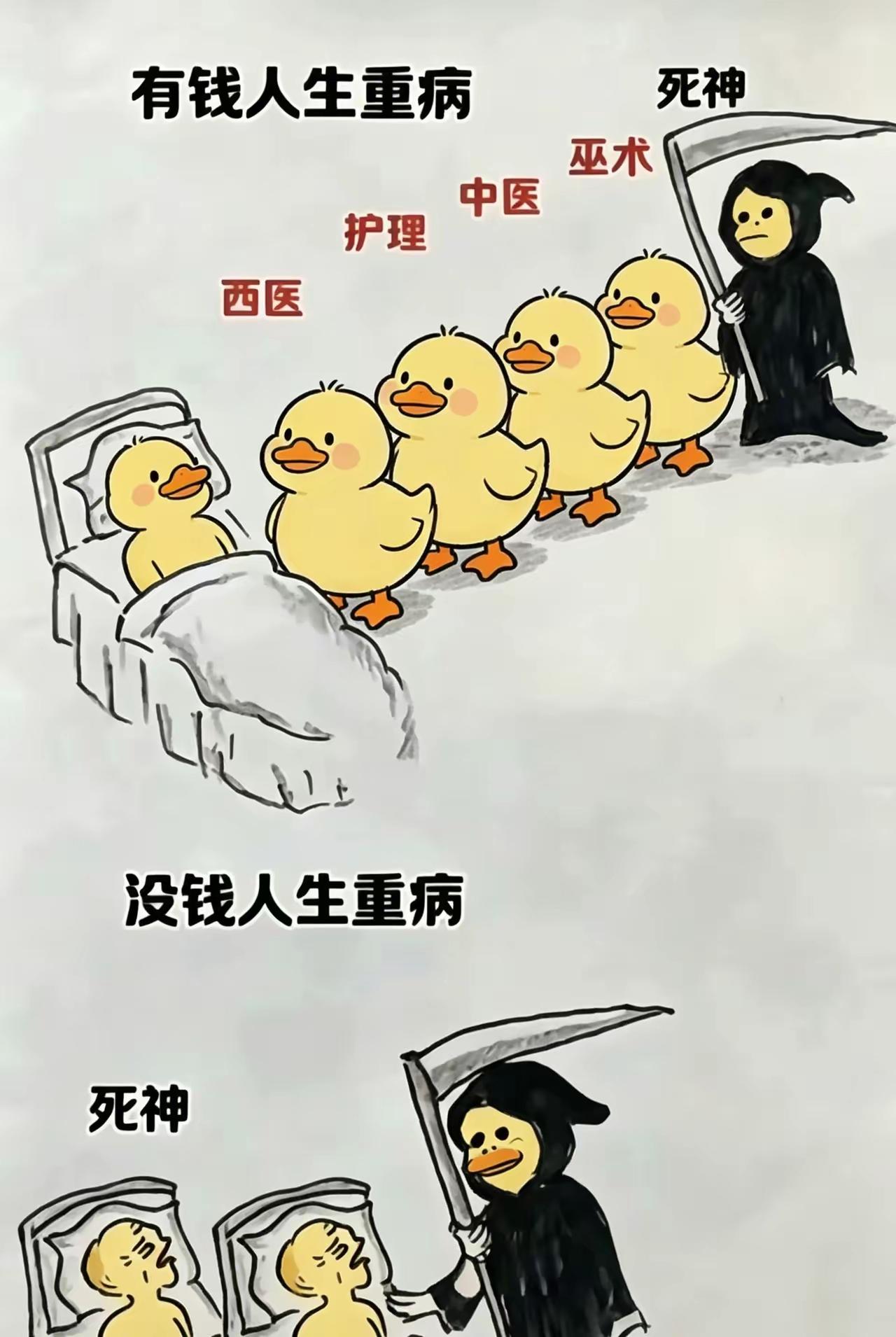 现实情况。