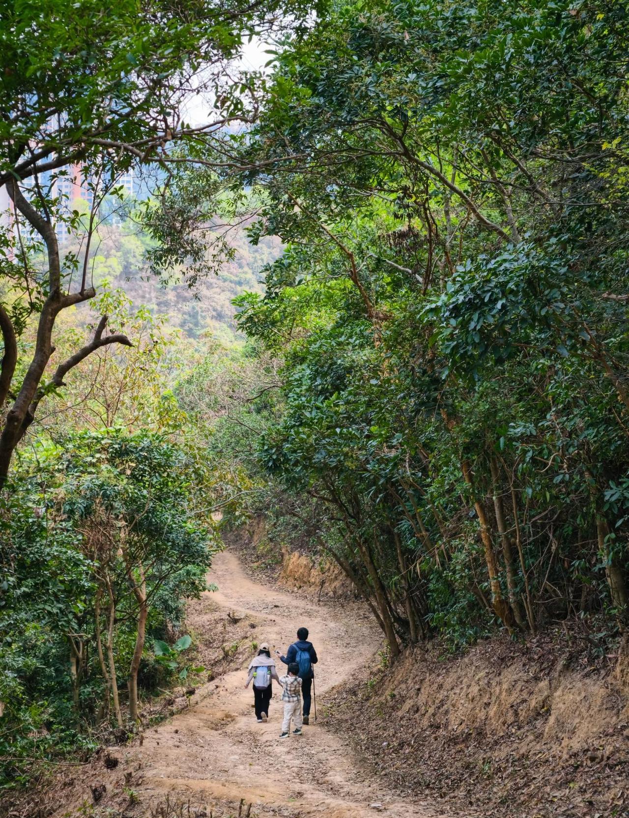 罗湖版五园连通，城市绿廊徒步🌳鲲鹏径第9段，一路串联银湖山红岗公园、围岭公园