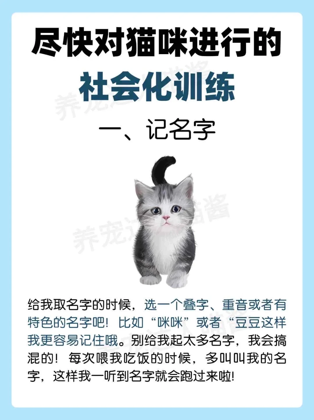 尽快对猫咪进行的社会化训练
