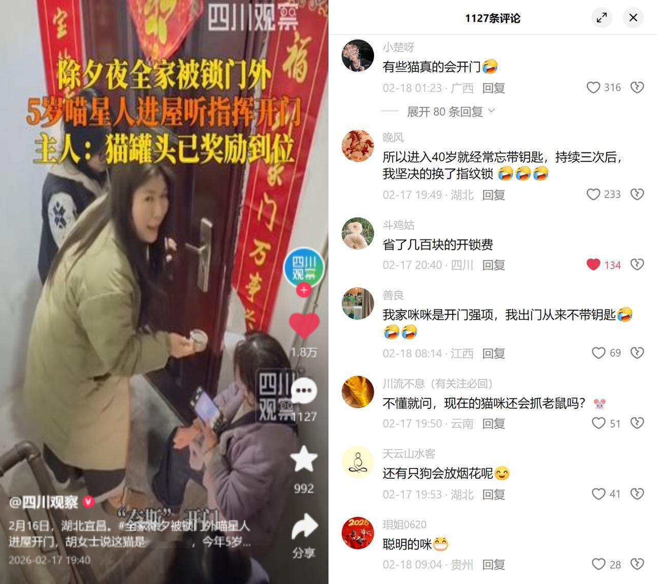 除夕被锁门外，猫咪奈斯救场！湖北宜昌的胡女士全家，除夕当天愣是被锁在了门