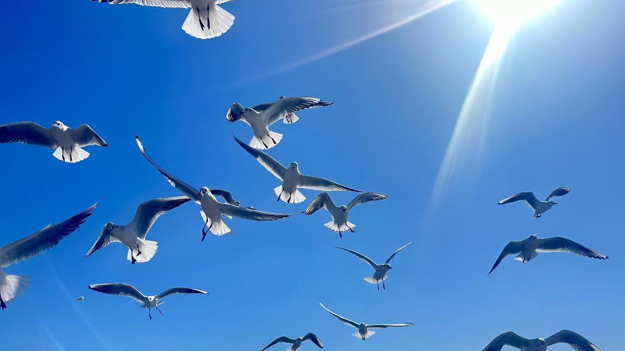 我一直认为生活中最有底气的事情就是要有足够的钱。所以我一直都在努力的赚钱。