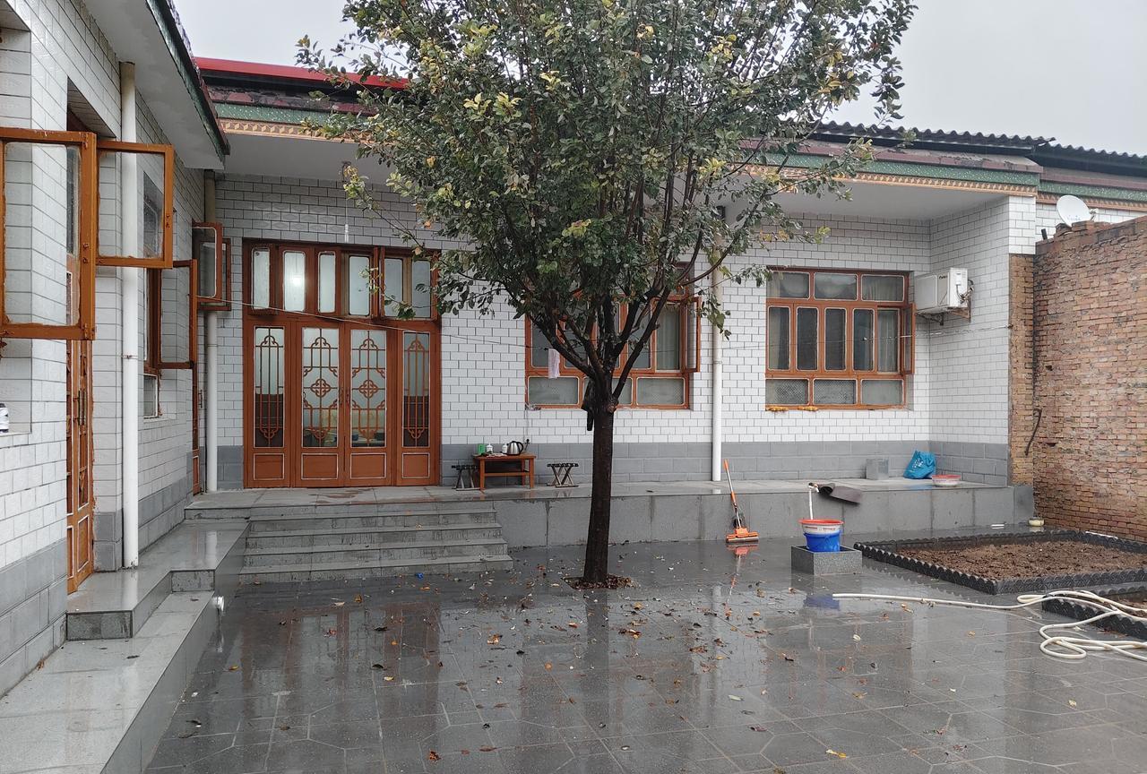 农历八月十五，中秋节，2025年。雨下个不停。昨天到的石榴树苗，总的种上吧，这