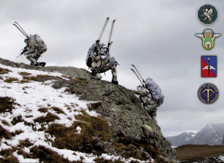 法国陆军第13伞降龙骑兵团(13eRDP)在阿尔卑斯山训练中摄影：Philip