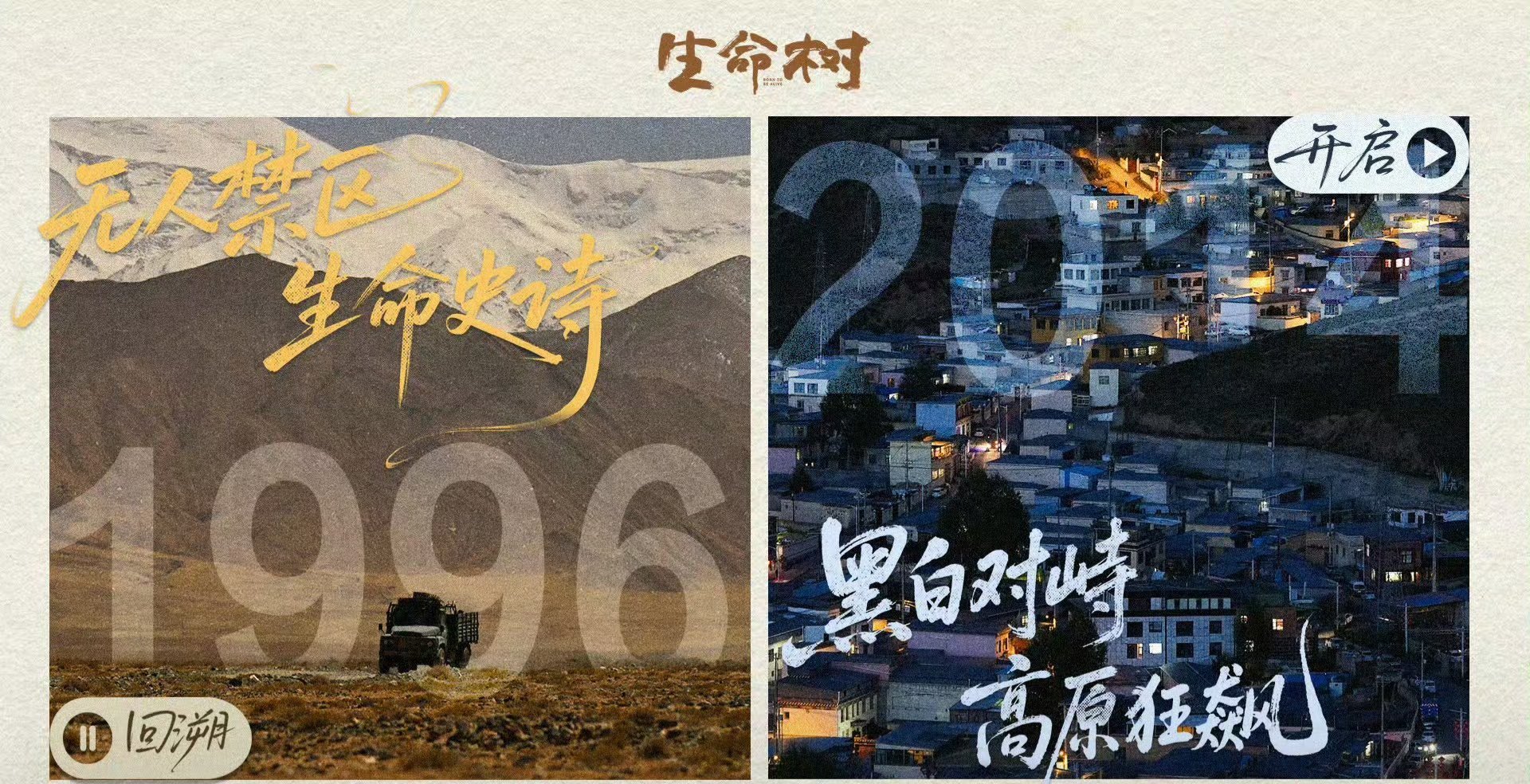 生命树下篇狂飙上了《生命树》从无人禁区巡山队付出惨重的代价成就博拉木拉的生命史诗