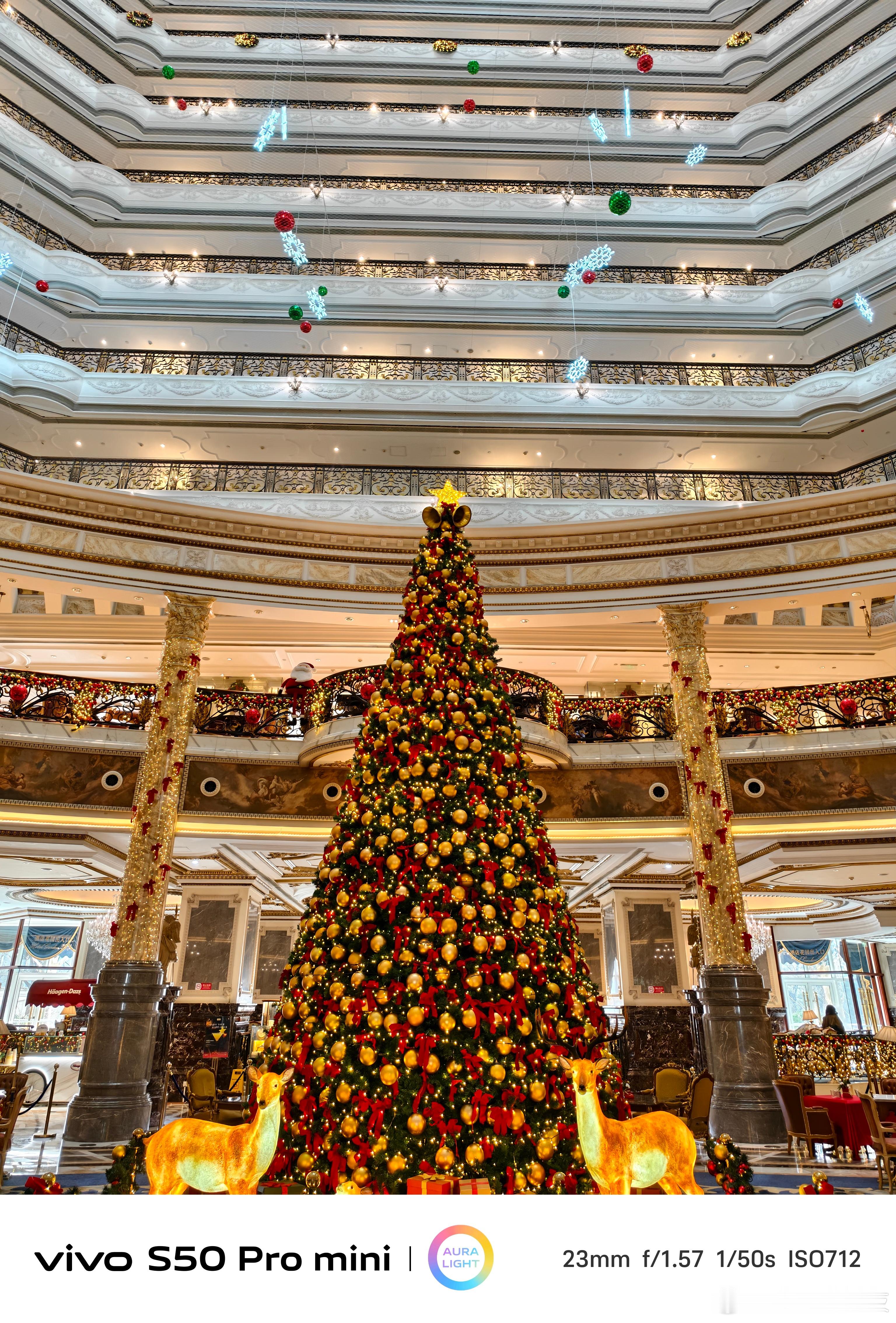 北京的励骏酒店算得上是每年圣诞期间的打卡圣地了。今年也带着vivos50pr