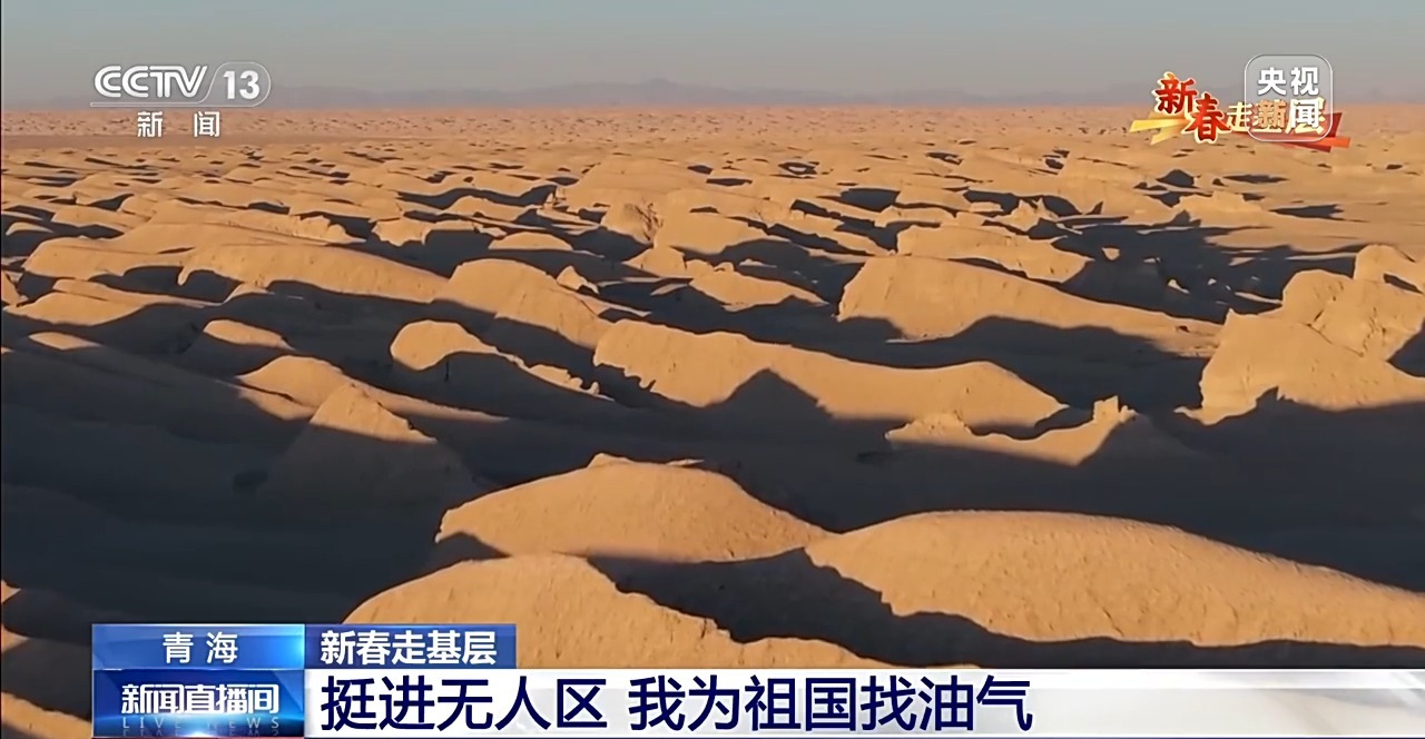 【图解】中国新能源汽车产业发展现状与趋势