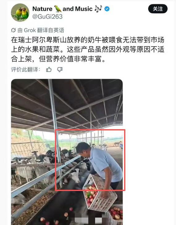 越南韩国偷中国的短视频素材就算了，你瑞士也偷？[doge]​​​​韩国偷文化翻车