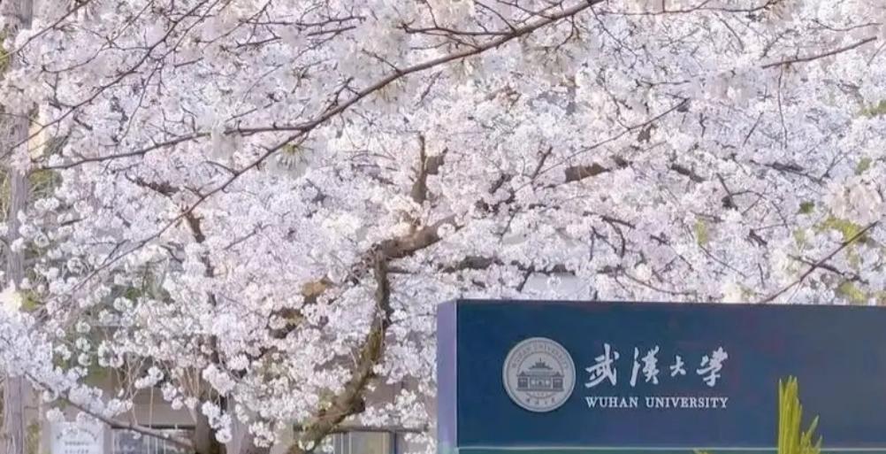 武汉大学的合作对象有：东京大学、九州大学、同志社大学、北海道大学、大阪大学、