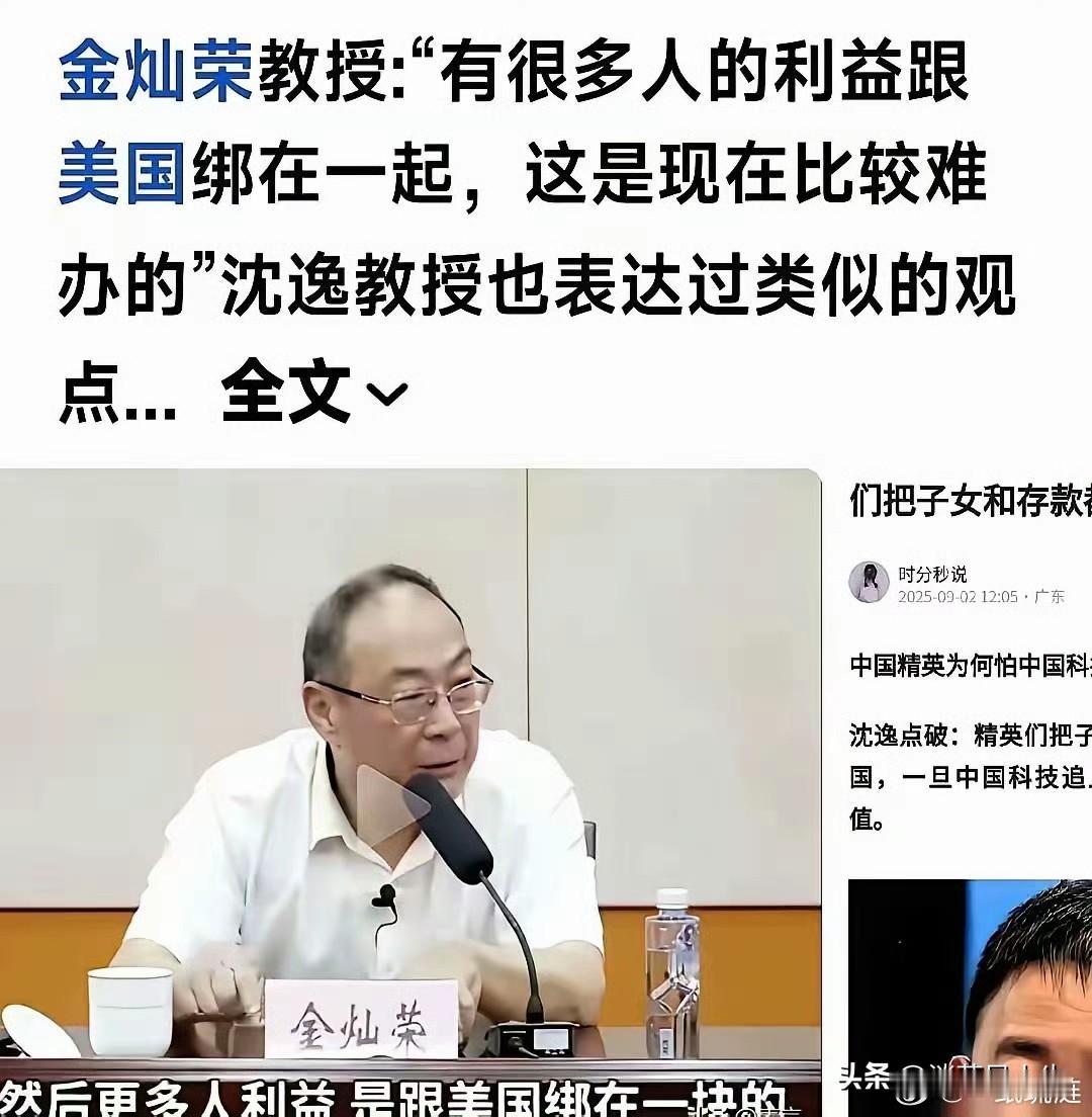 林教授的一句话解释了为什么有这么多人唱反调，金灿荣教授在一次讲座中说了一句话：“