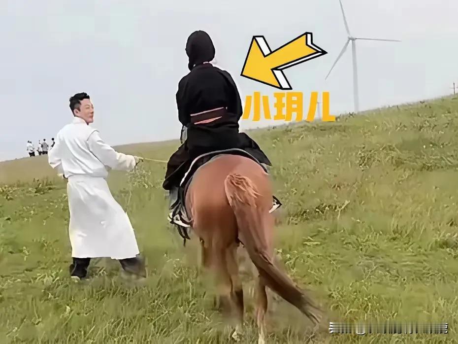 汪小菲带着孩子们去内蒙古大草原玩，孩子开心，家人开心，结果有些人不开心了。这