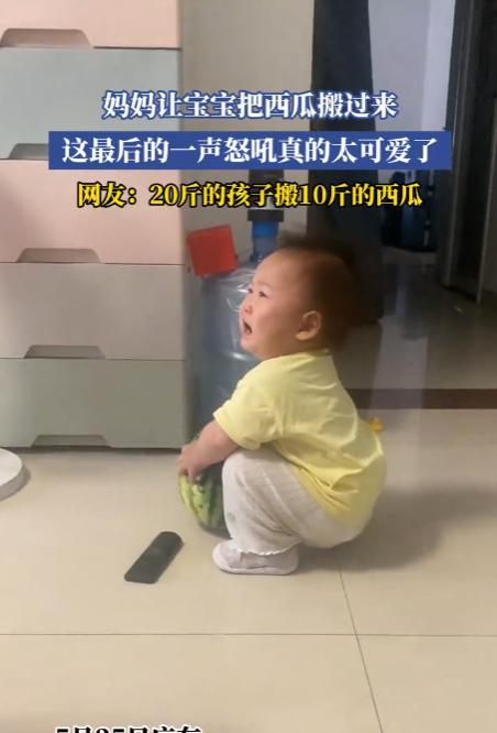 “真是难为人了！”5月25日，广东，一妈妈让宝宝把西瓜搬过来，宝宝哭喊着，使出全
