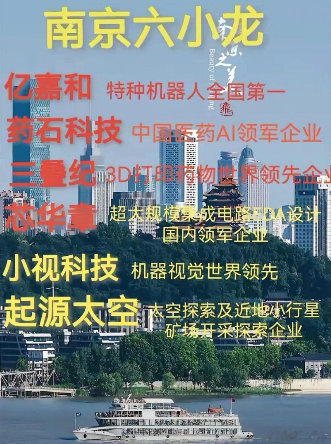 杭州六小龙，南京也有六小龙[大笑]