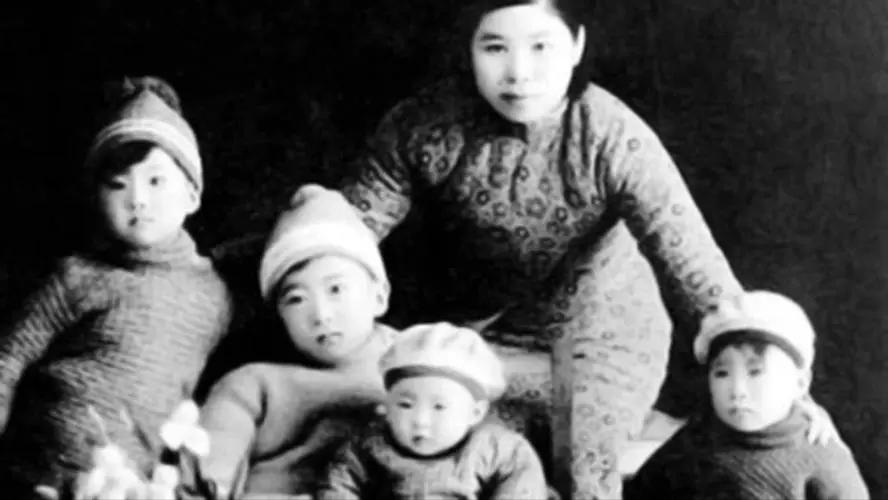 1958年，杨虎城的五女儿杨拯陆正在准备与未婚夫举办婚礼，可是几天后，人们却在冰