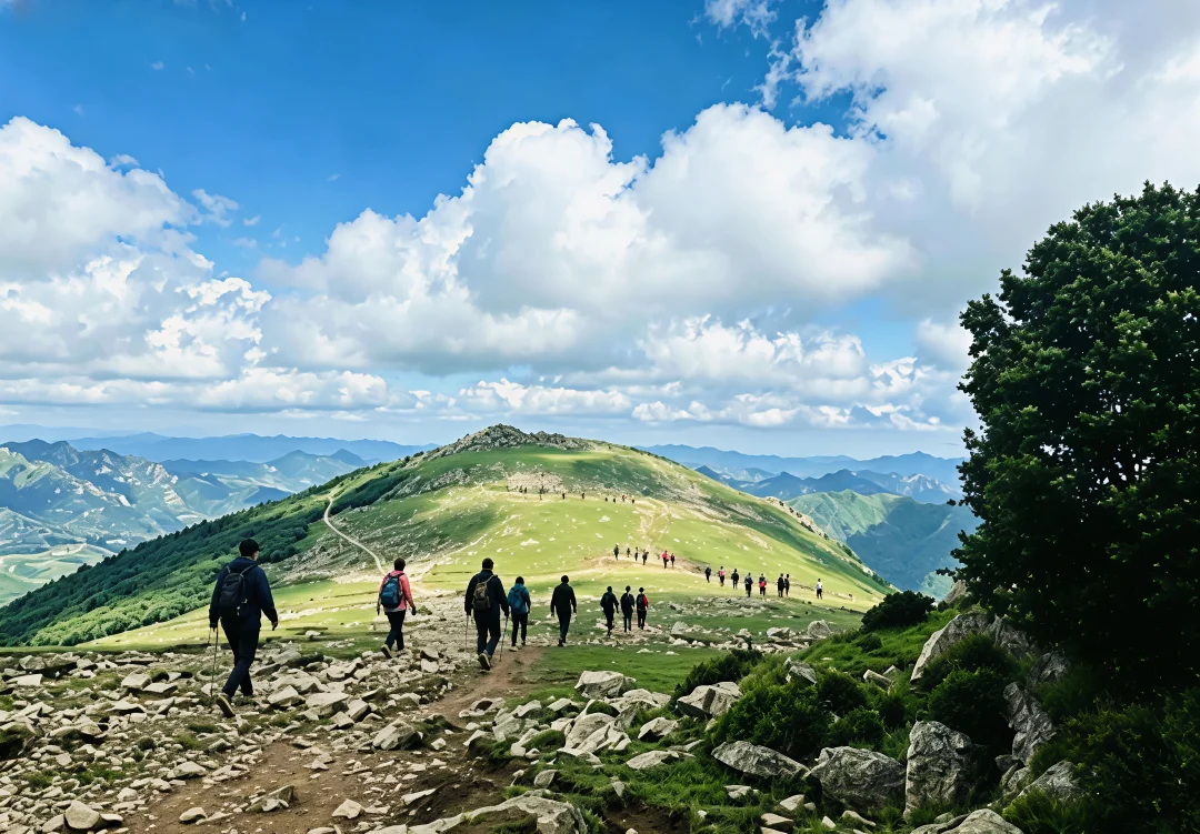 ⛰️2303米东灵山我不允许你没来过