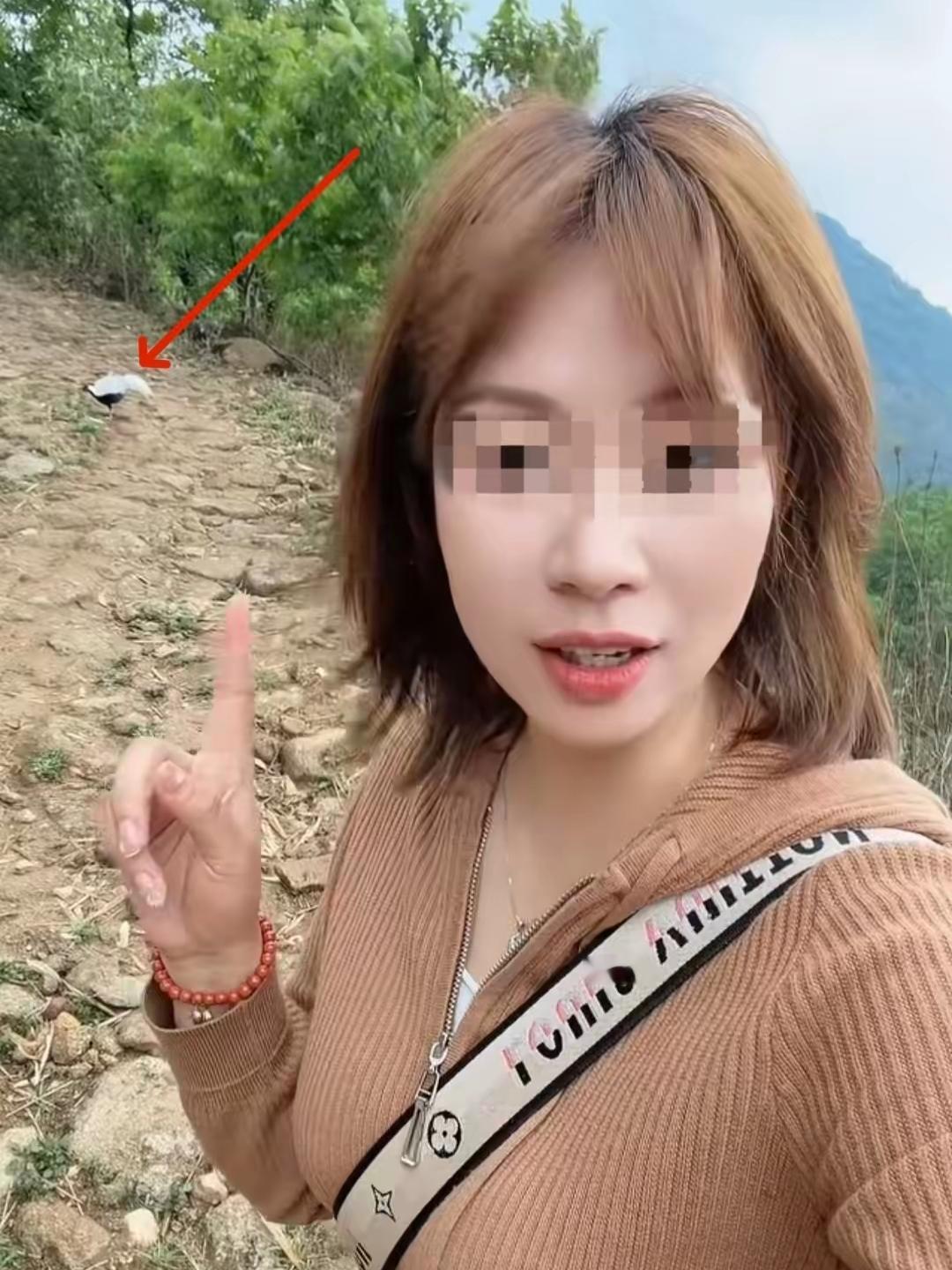 云南一名女子，五一假期进山游玩，碰到一只外形很漂亮的小鸟，停在那里一动不动，颜色