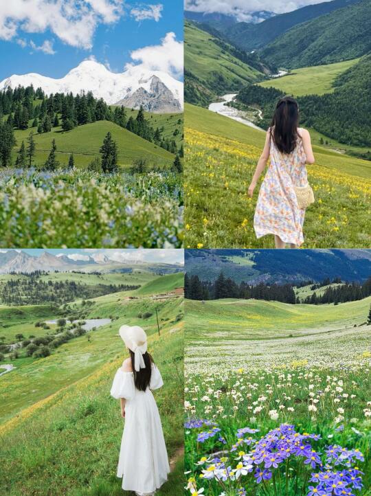 人生建议，今年夏天一定要去格聂看雪山花海