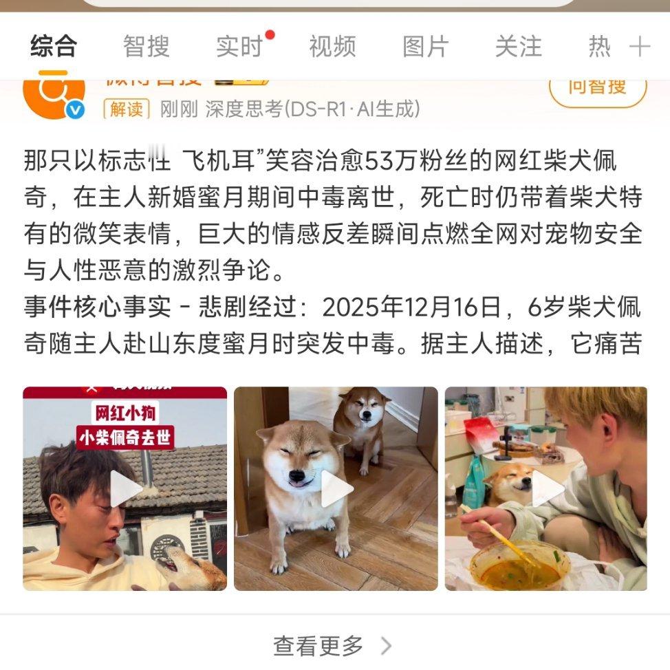 网红柴犬佩奇中毒死亡我真的无语，近年，怎么这么多网红宠物非自然死亡