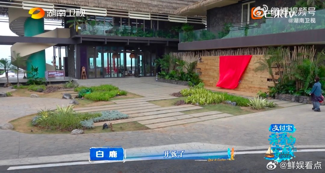 白鹿秦岚一个喊破嗓一个回不了亲爱的客栈4.大型真实现场！白鹿喊到嗓子冒烟，秦岚