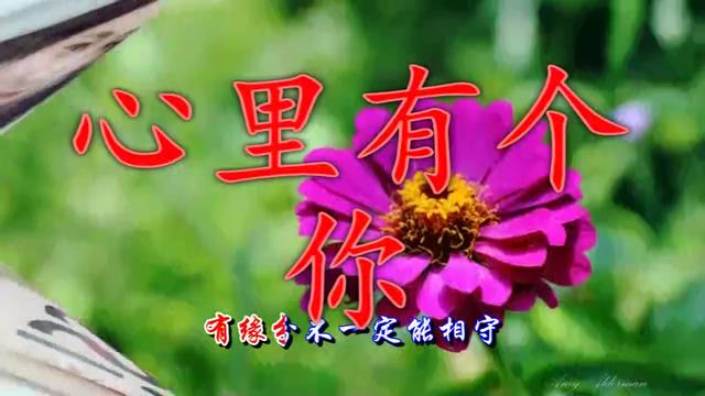 17385593966566347309.jpg?id=0