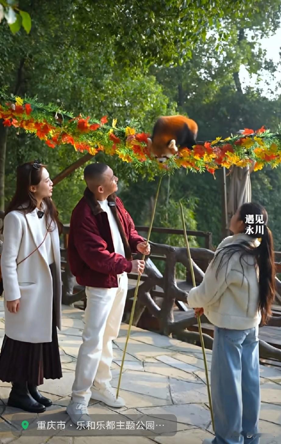 我的天呐，居然在重庆永川见到了聂远一家三口原来大明星也这么接地气，聂远一家三