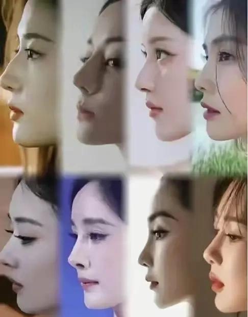 有人说美不美看鼻子，鼻子长得好，整张脸就生动好看了。来看看这张图里哪个女星的鼻子