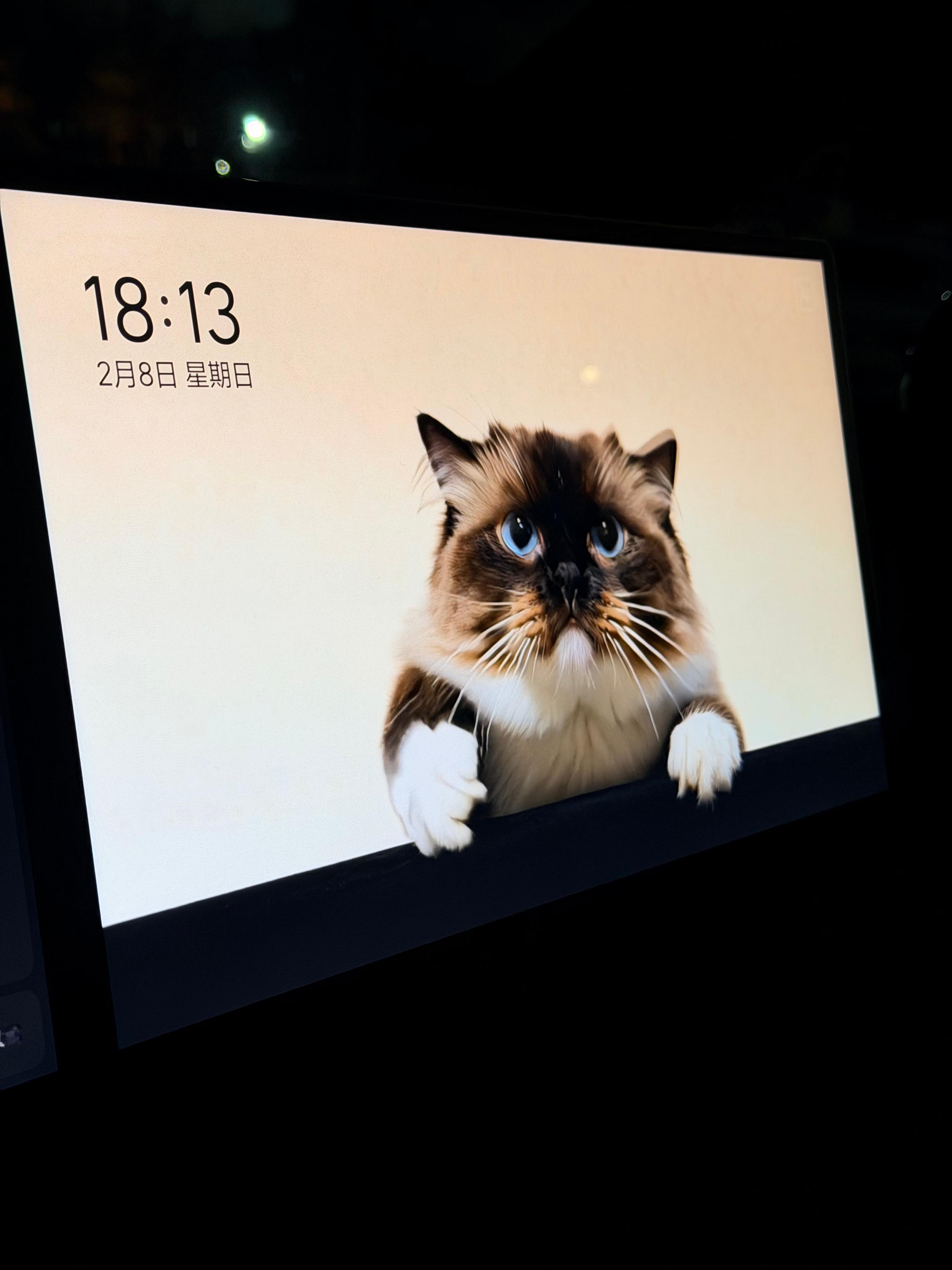 理想OTA8.2之后的这个艺术相框，对养宠物的朋友来说，真的情绪价值拉满。遗憾