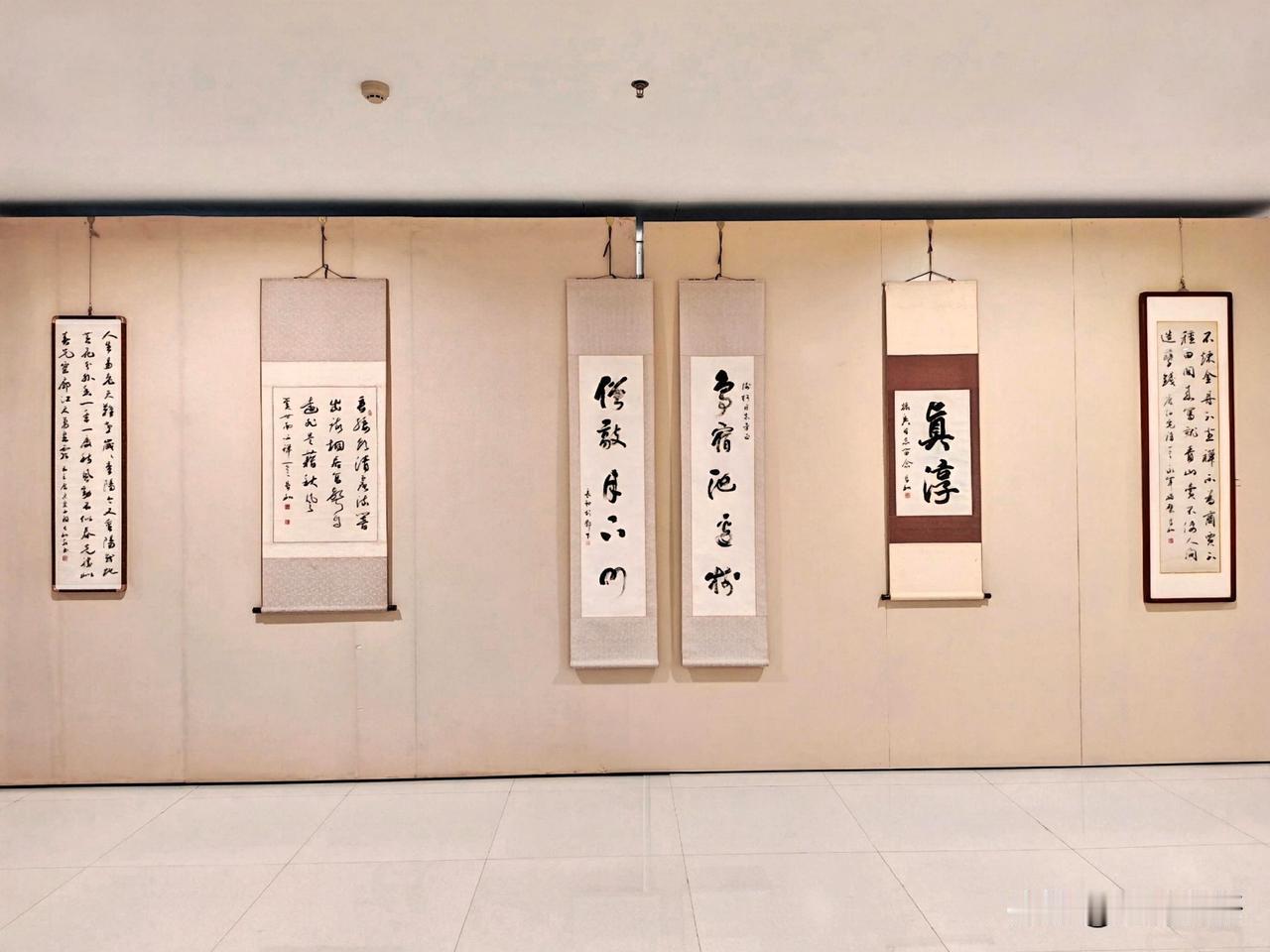 豪华落尽见真淳（四）——朱长河书法艺术展