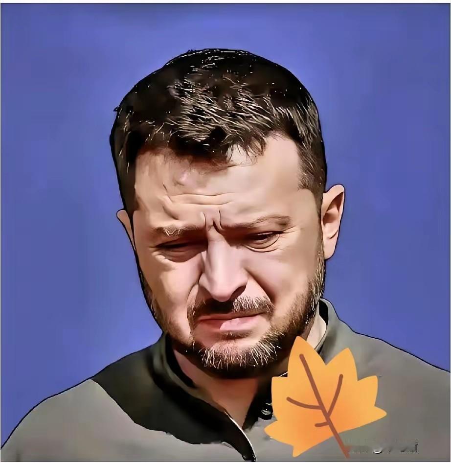 果然没猜错！​乌克兰总统办公室正式官宣！​​2025年11月21日乌克兰总统