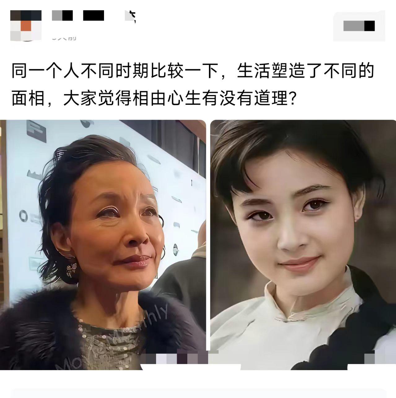 陈冲年轻时那灵气，确实没几个人能比啊。她这些年经历了啥啊？