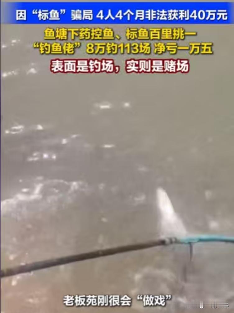 浙江温州，一个钓场，花680元，钓上一条标鱼，当场就能兑换1万元，男子花了8万，